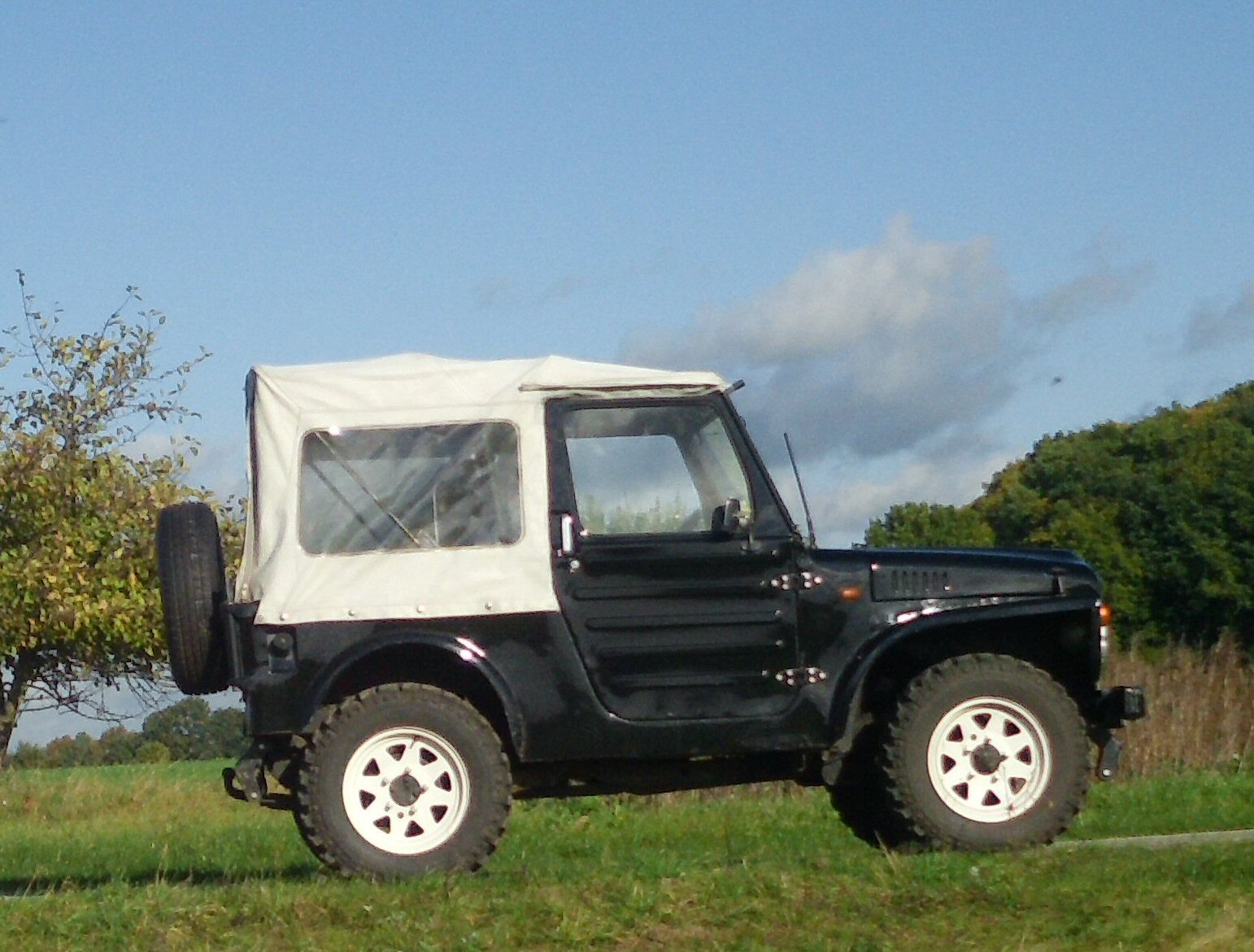 lj ausschnitt.jpg